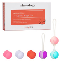 She-Ology - продвинутый набор для тренировок Кегеля (2 оправы, 6 грузов-шариков) от sex shop Hustler