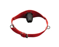 БДСМ кляп в виде фаллоса от sex shop Hustler