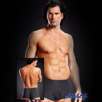 Транк-боксеры из микрофибры в полоску от sex shop Hustler