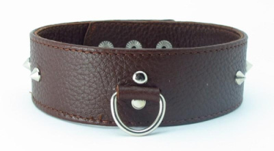 Кожаный ошейник на кнопках (коричневый) от sex shop Hustler