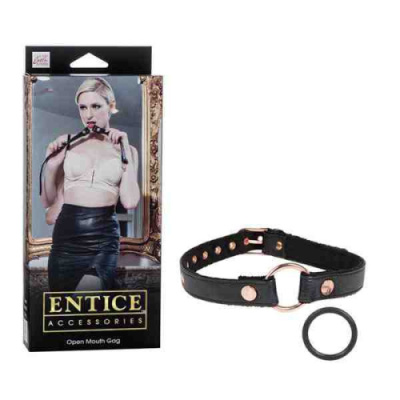 Кляп открытый с кольцом Open Mouth Gag от sex shop Hustler